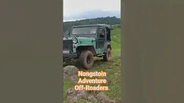 Jeep thing rugged trail.. #jeep #cj3b #jeep